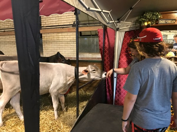 Visiting the livestock