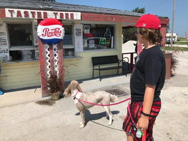 Tastee Treet