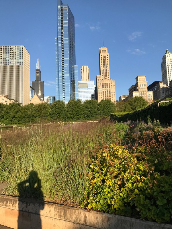 View from Millennium Park