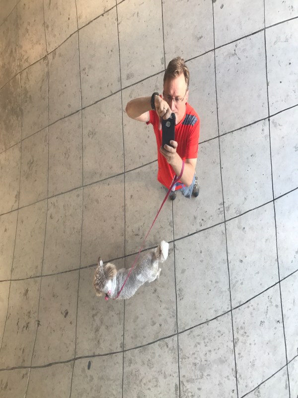 View off the bean