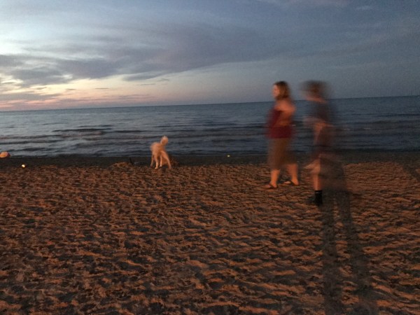 Montrose Dog Beach