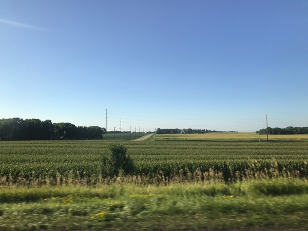 Minnesota Farmland