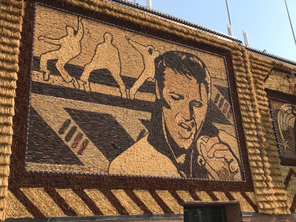 The King in corn