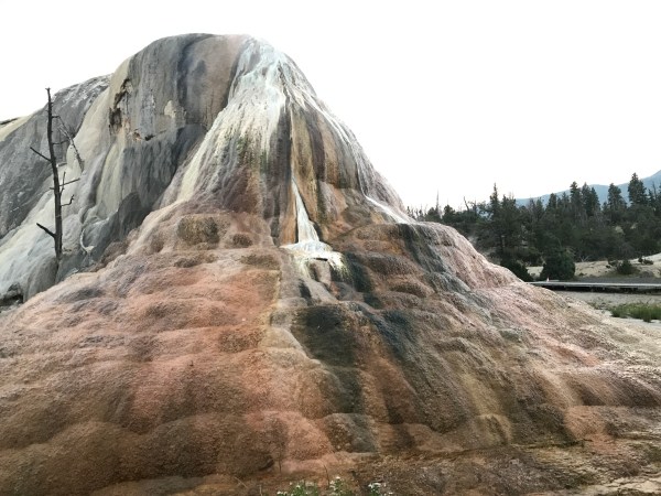 Mammoth Hot Springs