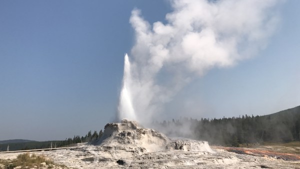 Daisy Geyser