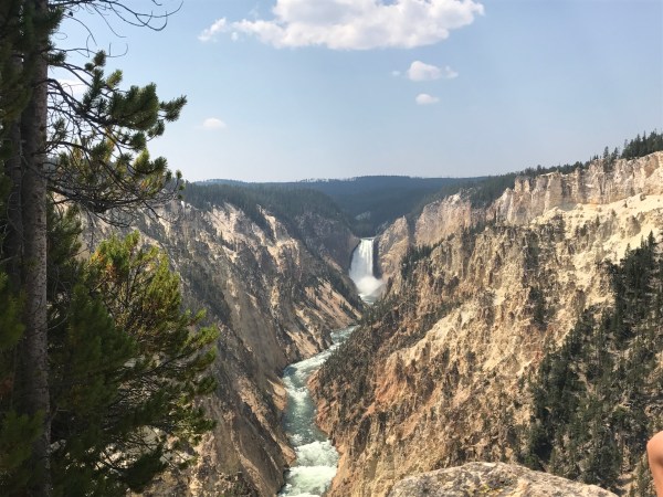 Yellowstone Canyon with view of Lower Falls